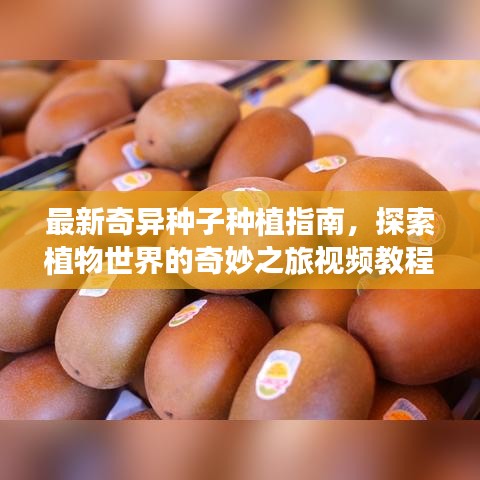 最新奇异种子种植指南，探索植物世界的奇妙之旅视频教程