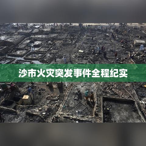 沙市火灾突发事件全程纪实