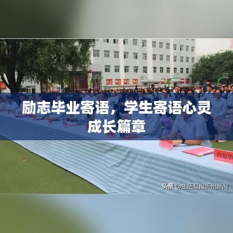云屯鸟散