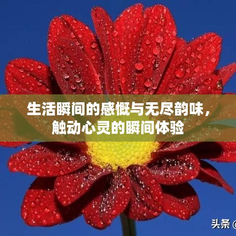 大口径钢管 第16页