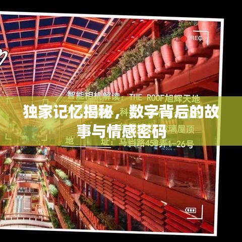 独家记忆揭秘，数字背后的故事与情感密码