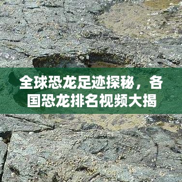 全球恐龙足迹探秘，各国恐龙排名视频大揭秘！