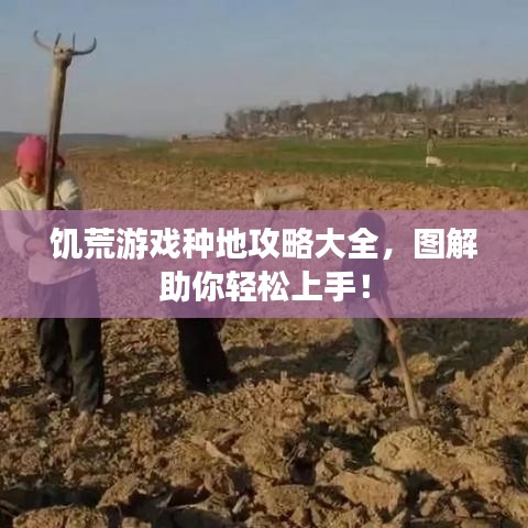 饥荒游戏种地攻略大全，图解助你轻松上手！
