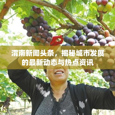 管窥蛙见