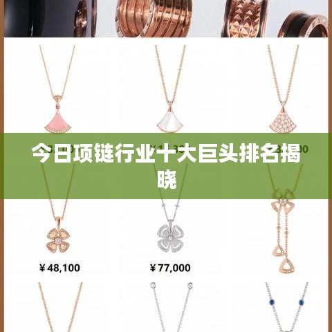 尽心竭力