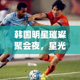 韩国明星璀璨聚会夜，星光闪耀的情感盛宴