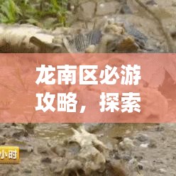 龙南区必游攻略，探索这片土地的精彩之旅！