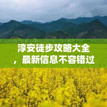 成功案例 第10页