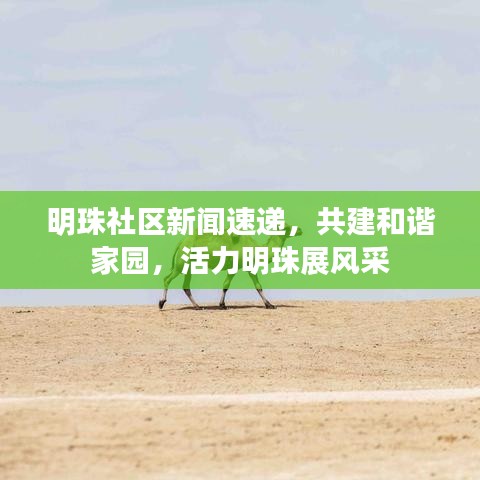 龙飞凤舞