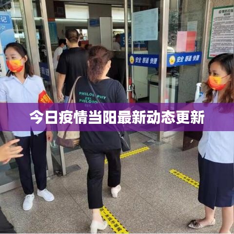 成功案例 第9页