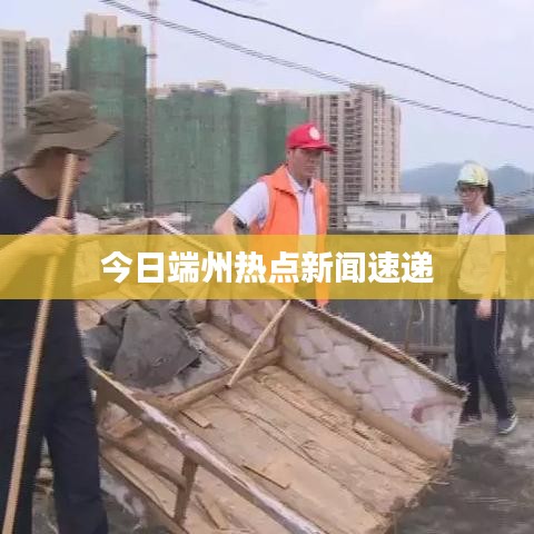 今日端州热点新闻速递