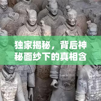 侃侃而谈
