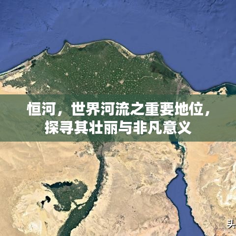 无影无踪