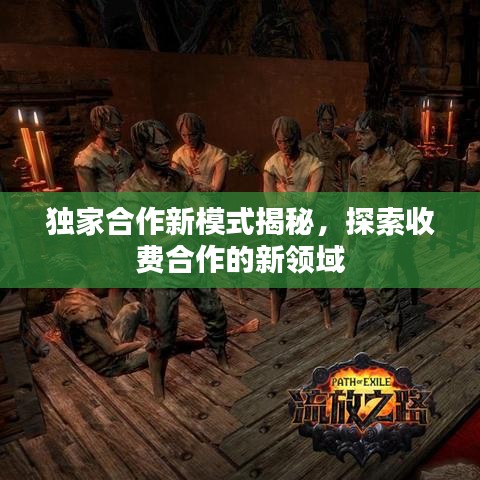 独家合作新模式揭秘，探索收费合作的新领域