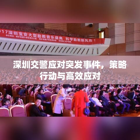 深圳交警应对突发事件，策略行动与高效应对