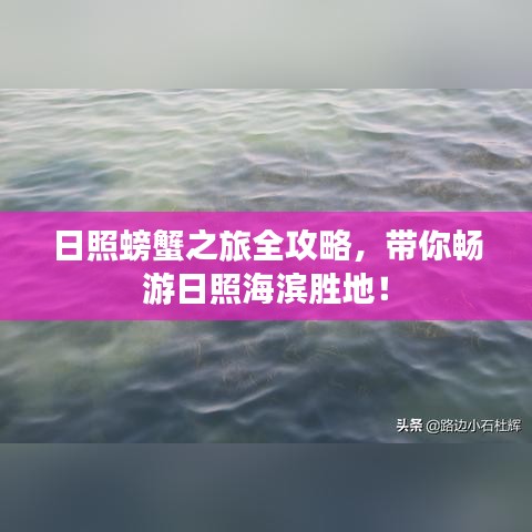 日照螃蟹之旅全攻略，带你畅游日照海滨胜地！