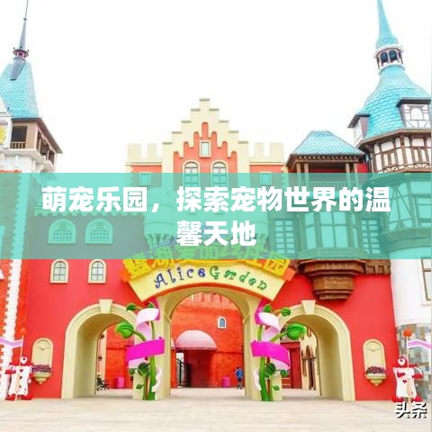物离乡贵