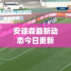 安德森最新动态今日更新