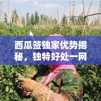 螺旋钢管 第5页
