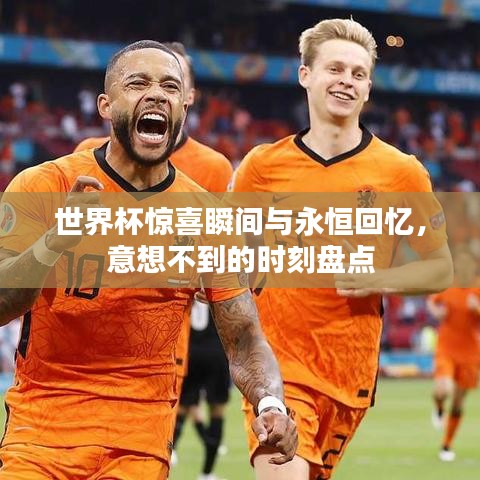 成功案例 第5页
