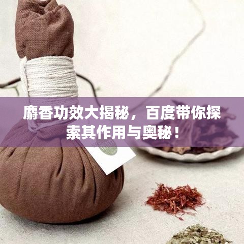 麝香功效大揭秘，百度带你探索其作用与奥秘！