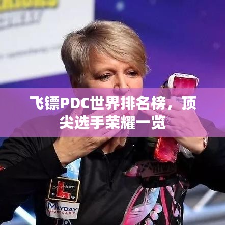 成功案例 第3页