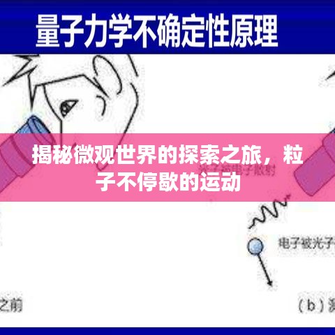 揭秘微观世界的探索之旅，粒子不停歇的运动