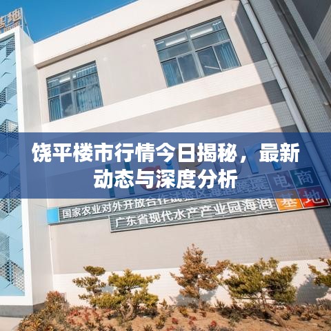 饶平楼市行情今日揭秘，最新动态与深度分析