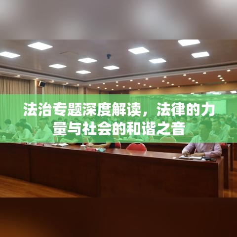 法治专题深度解读，法律的力量与社会的和谐之音