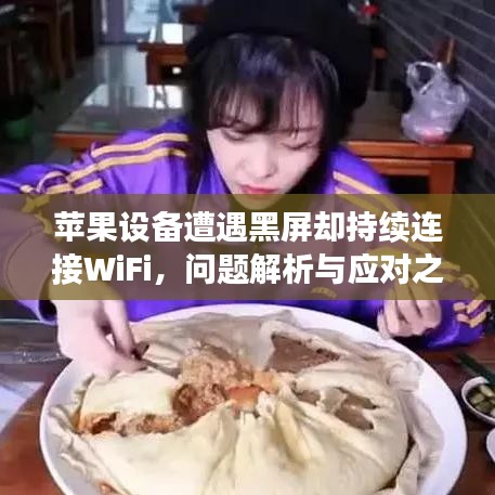 成功案例 第2页