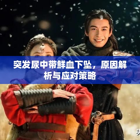 突发尿中带鲜血下坠，原因解析与应对策略