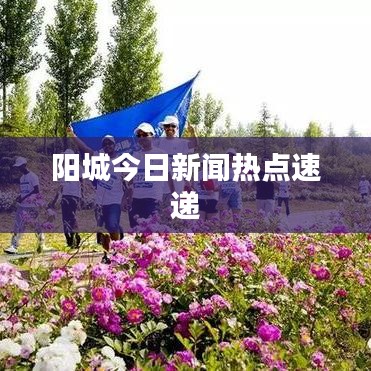 阳城今日新闻热点速递