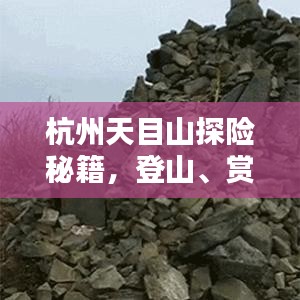 杭州天目山探险秘籍，登山、赏景、尽享自然之美！