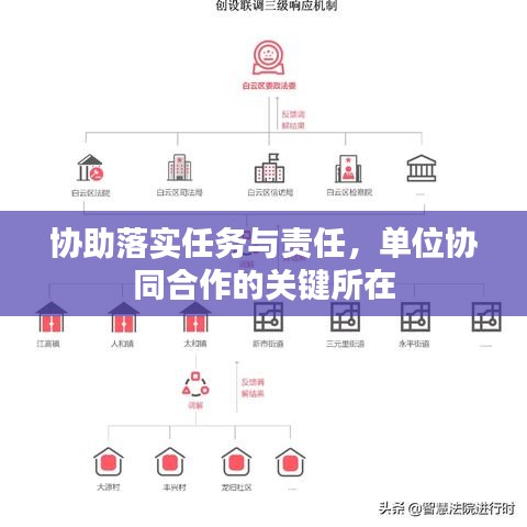 协助落实任务与责任，单位协同合作的关键所在