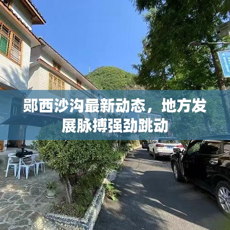 郧西沙沟最新动态，地方发展脉搏强劲跳动
