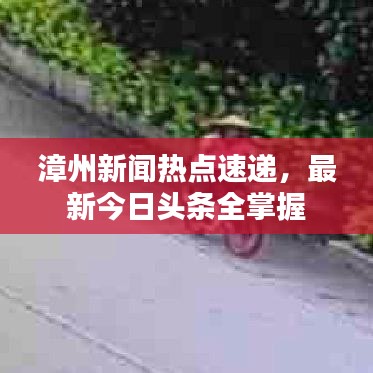 漳州新闻热点速递，最新今日头条全掌握