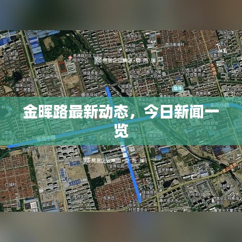 金晖路最新动态，今日新闻一览