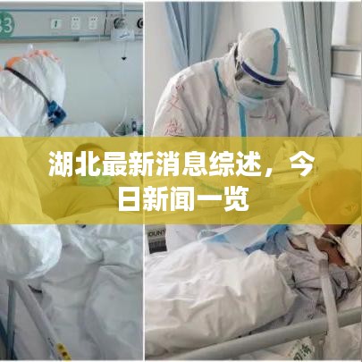 湖北最新消息综述，今日新闻一览