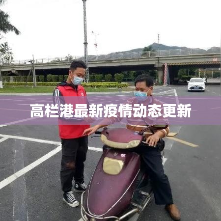 高栏港最新疫情动态更新