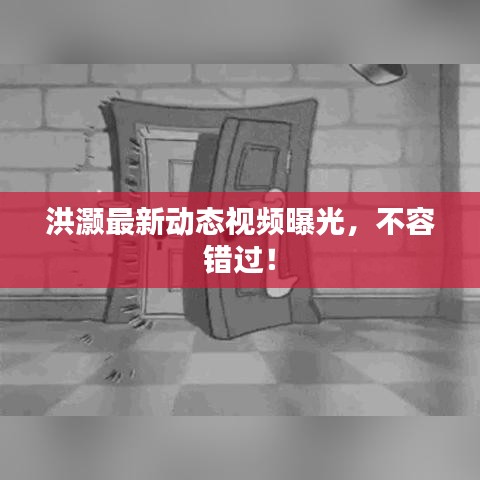 洪灏最新动态视频曝光，不容错过！