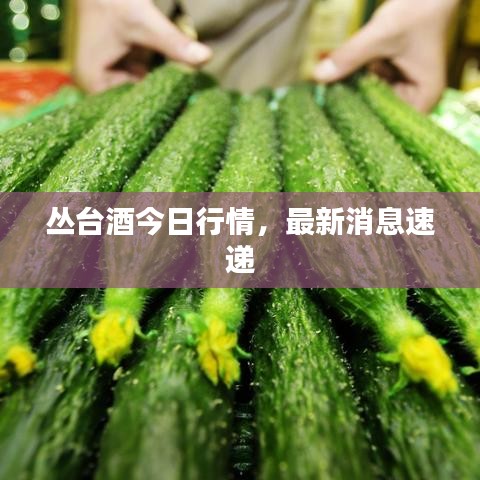 2025年6月7日