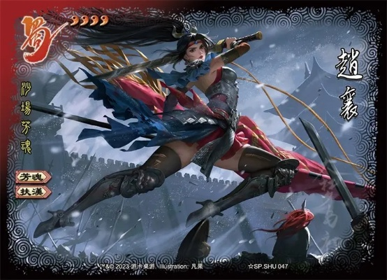 三国赵襄激活码及游戏官方下载网，灵活操作方案设计_2DM_v6.632介绍