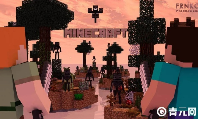 我的世界5.0版本跟2020的激活码,持续设计解析方案 X版_v9.599