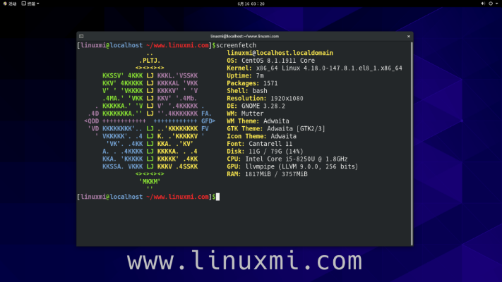 server 2016官方下载,科学依据解析说明_Linux_v9.819