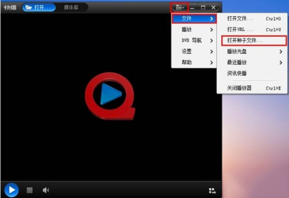 快播哪个版本能看片,精准分析实施步骤_WP_v6.704