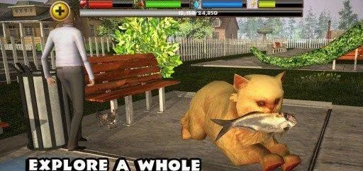 流浪猫模拟器中文版本,收益说明解析 优选版_v2.499
