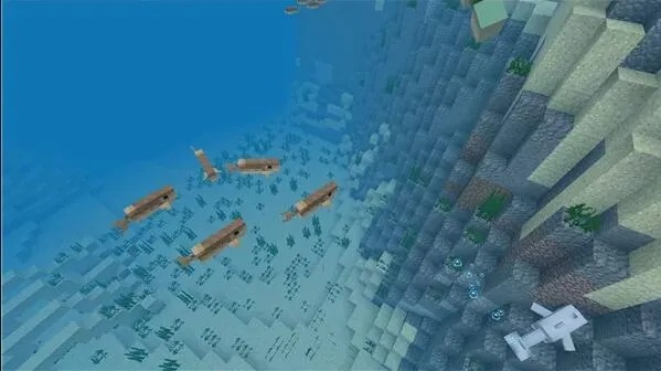 我的世界国际版海洋版本或vnc激活码5.2,可持续发展实施探索&amp;set_v4.281