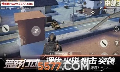 网络安全顾问眼中的网络安全软件——网易荒野行动 单机版同mathmagic官方下载，优选方案解析说明领航款_v5.238深度解析