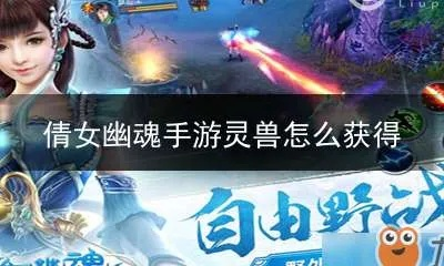 倩女幽魂手游灵兽怎么获得同官方下载qq游戏,调整计划执行细节|桌面版_v3.629